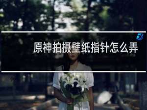 原神拍摄壁纸指针怎么弄