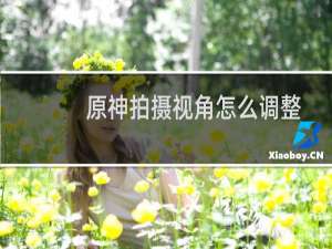 原神拍摄视角怎么调整