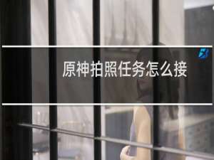 原神拍照任务怎么接