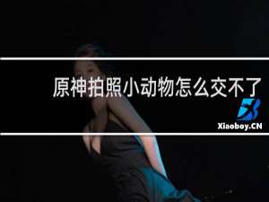 原神拍照小动物怎么交不了