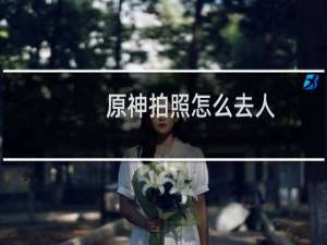 原神拍照怎么去人