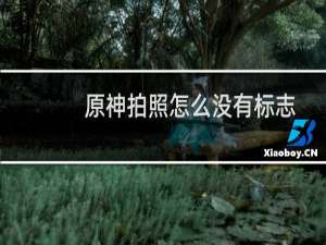 原神拍照怎么没有标志