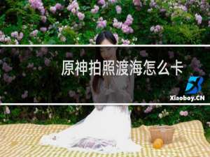 原神拍照渡海怎么卡