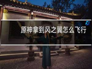 原神拿到风之翼怎么飞行