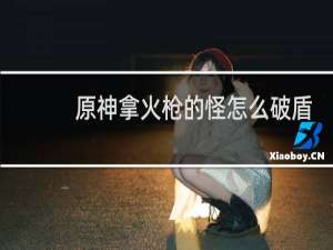 原神拿火枪的怪怎么破盾