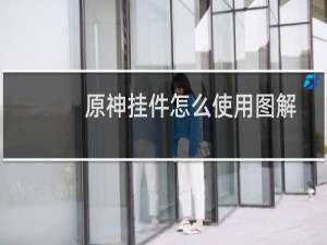 原神挂件怎么使用图解