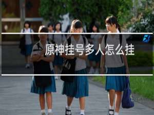 原神挂号多人怎么挂