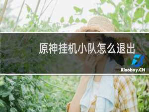 原神挂机小队怎么退出