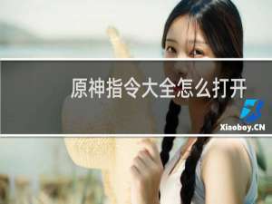 原神指令大全怎么打开