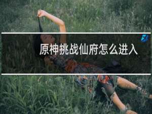 原神挑战仙府怎么进入