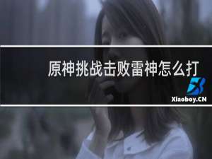 原神挑战击败雷神怎么打