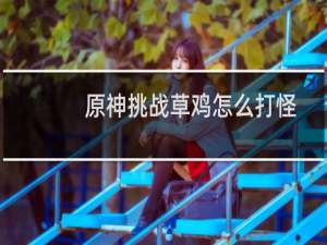 原神挑战草鸡怎么打怪