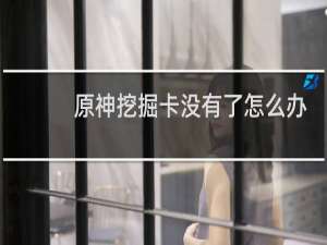 原神挖掘卡没有了怎么办