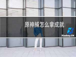 原神捕怎么拿成就