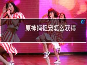 原神捕捉宠怎么获得