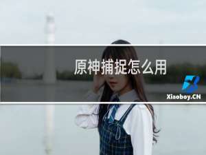 原神捕捉怎么用
