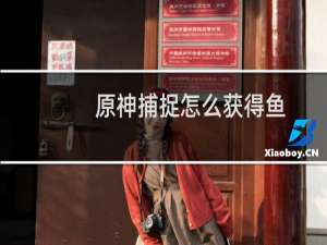 原神捕捉怎么获得鱼