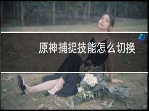 原神捕捉技能怎么切换