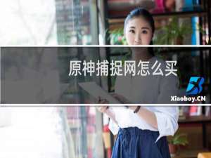 原神捕捉网怎么买