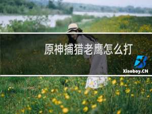 原神捕猎老鹰怎么打
