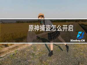 原神捕盗怎么开启