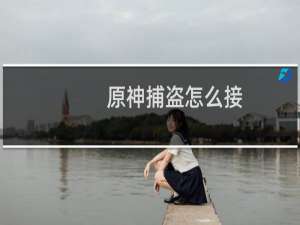 原神捕盗怎么接