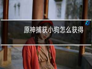 原神捕获小狗怎么获得