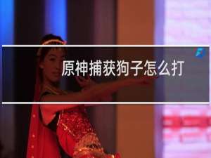 原神捕获狗子怎么打