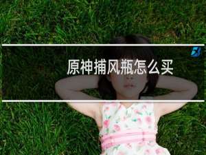 原神捕风瓶怎么买