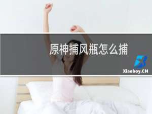 原神捕风瓶怎么捕