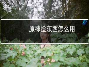 原神捡东西怎么用