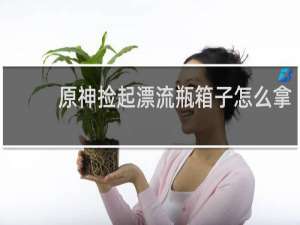 原神捡起漂流瓶箱子怎么拿