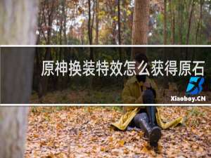 原神换装特效怎么获得原石