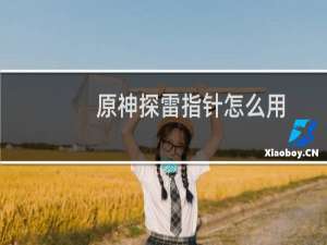 原神探雷指针怎么用