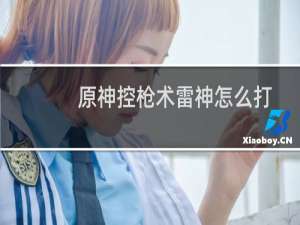 原神控枪术雷神怎么打