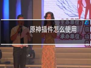 原神插件怎么使用