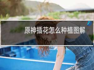 原神插花怎么种植图解