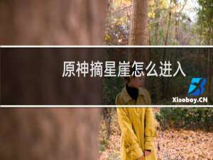 原神摘星崖怎么进入