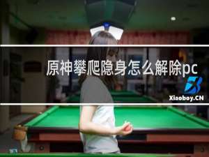 原神攀爬隐身怎么解除pc