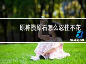 原神攒原石怎么忍住不花