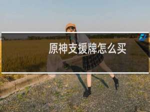 原神支援牌怎么买
