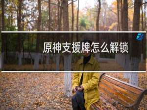 原神支援牌怎么解锁