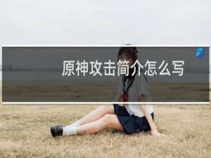 原神攻击简介怎么写