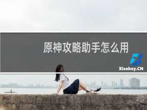 原神攻略助手怎么用