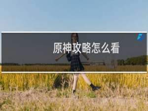 原神攻略怎么看