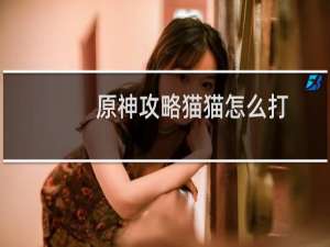 原神攻略猫猫怎么打