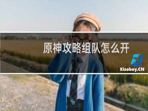 原神攻略组队怎么开