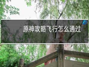 原神攻略飞行怎么通过