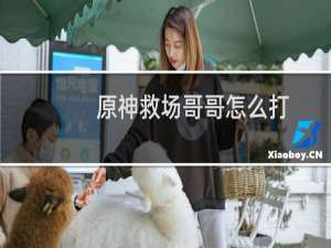 原神救场哥哥怎么打