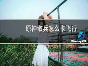 原神散兵怎么卡飞行